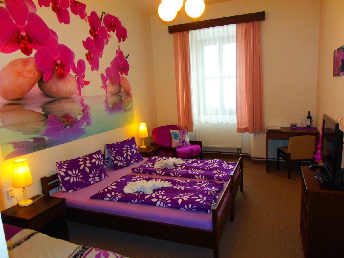 Hotel Stara Skola Na Sumave Horice na Sumave Bagian luar foto